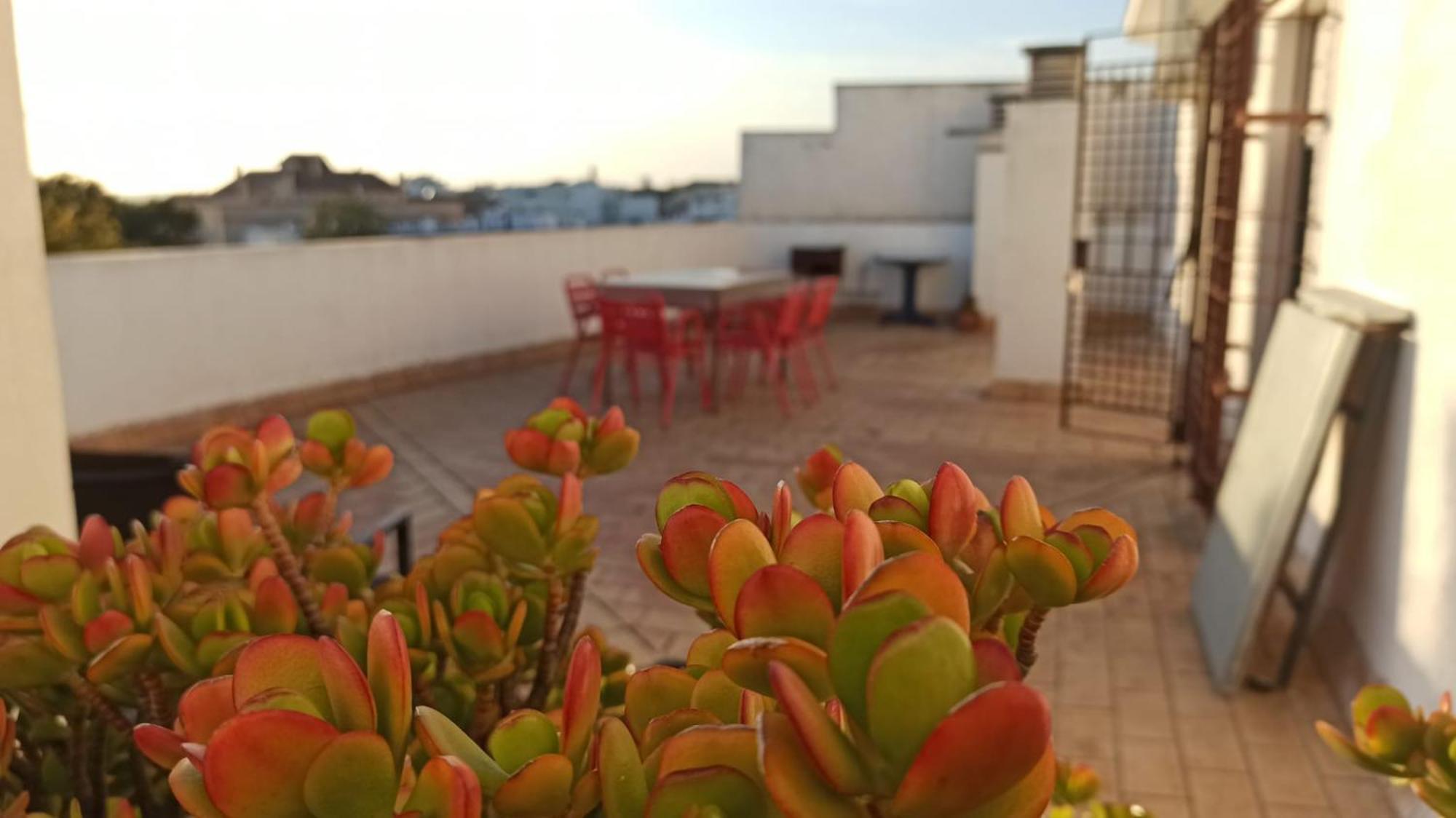 Atardeceres Surenos - Gran Terraza - Parking Χέρεζ Εξωτερικό φωτογραφία